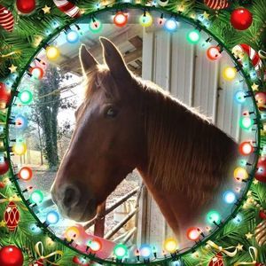 Meet your Posher, Sonja